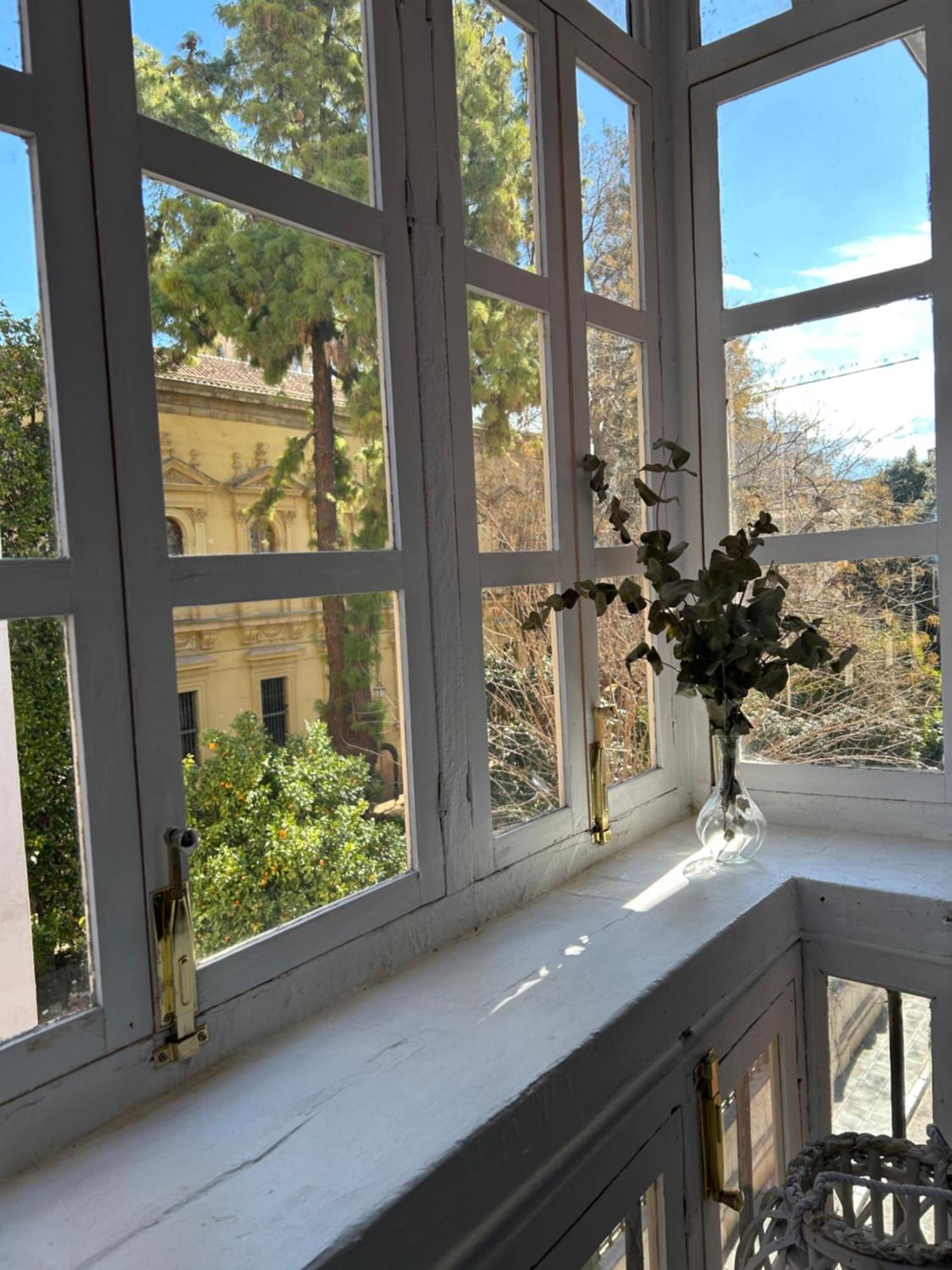 Apartamento Jardin Botanico Grenada Zewnętrze zdjęcie